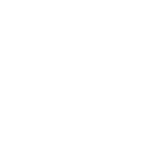 Exness Review: Regulations Icon