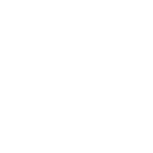 RoboForex Review : Deposit Options Icon