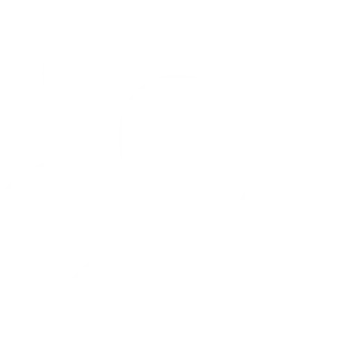 RoboForex Review: Languages Icon