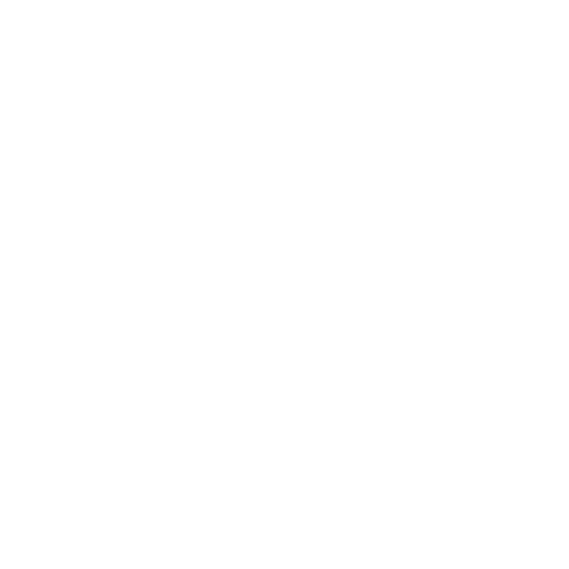 RoboForex Review : Trading Platforms Icon