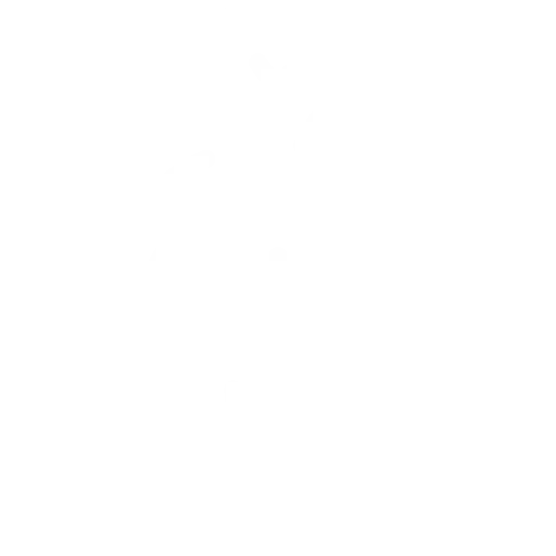 RoboForex Review: Withdrawal Options Icon